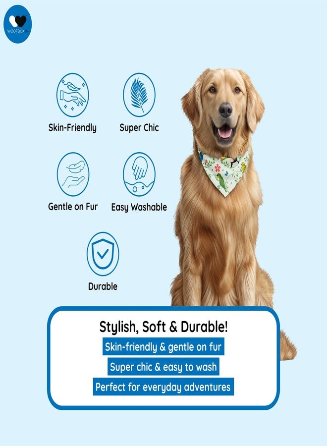 W Dog Bandana Collar Adjustable by W | This Beautiful Gorgeous Design Dog Collar Bandana Scarf is Perfect Styling Accessory for Dogs (M, Parrot) - Image 4